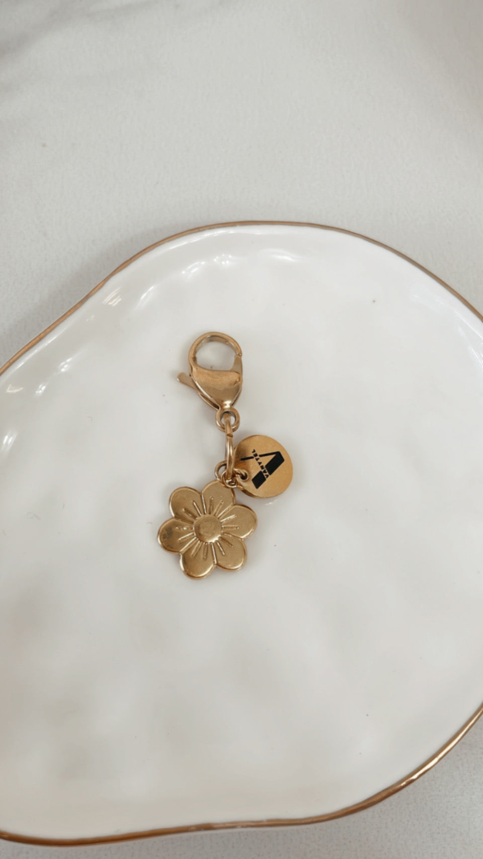 Vanytel Charms en Acero Inoxidable - Vanytel
