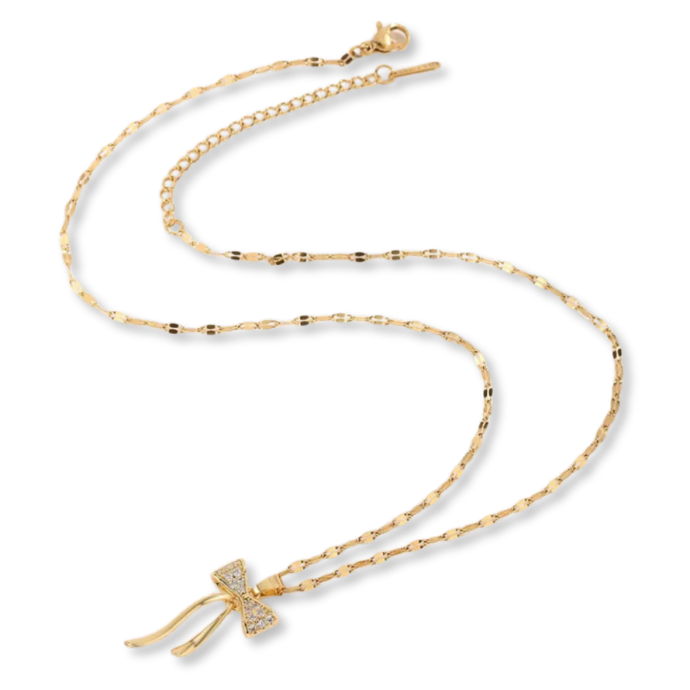 Bow Knot Stainless Steel Necklace, Woman - Vanytel