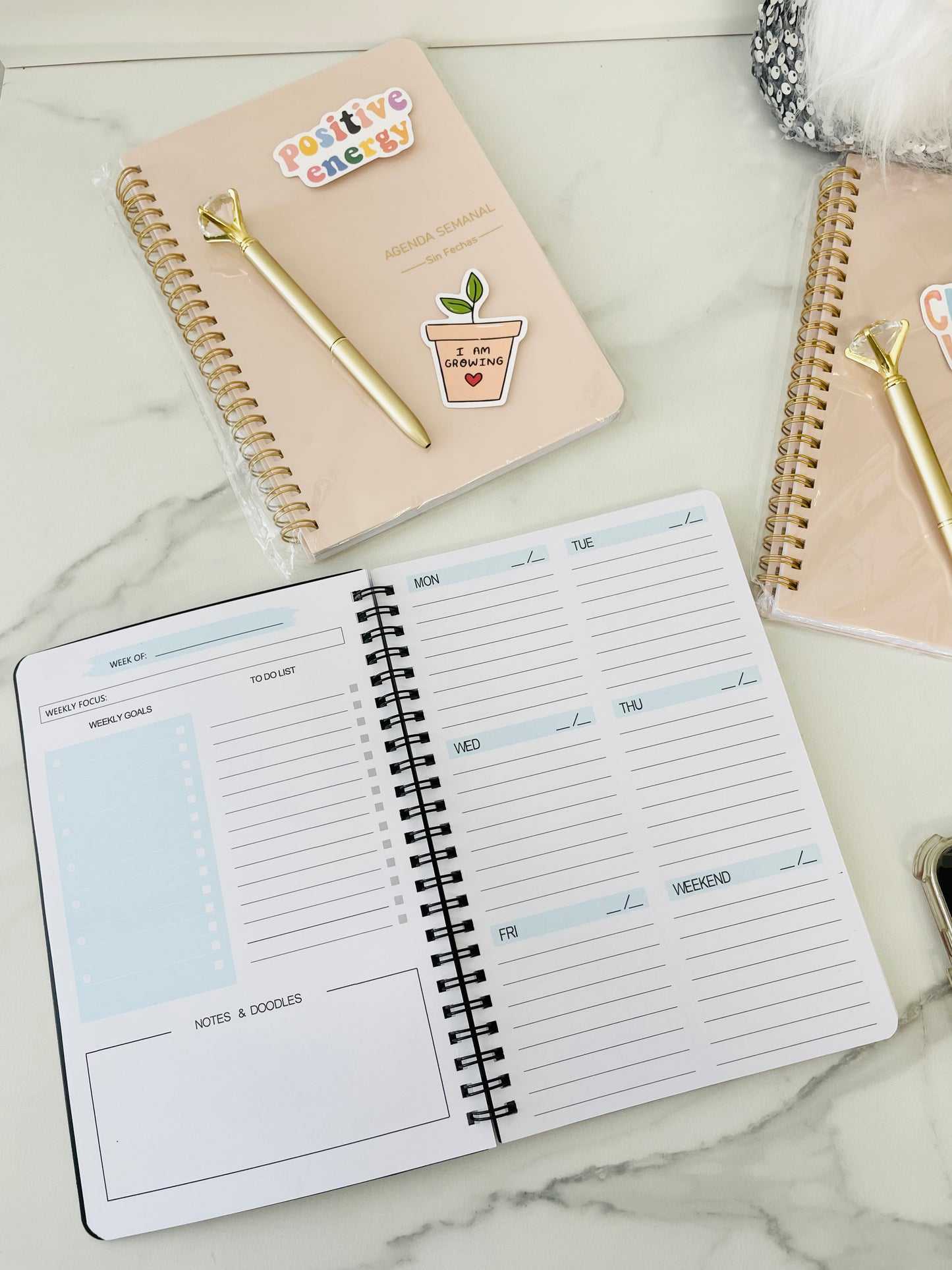 Kit Agenda de 52 Semanas - Vanytel