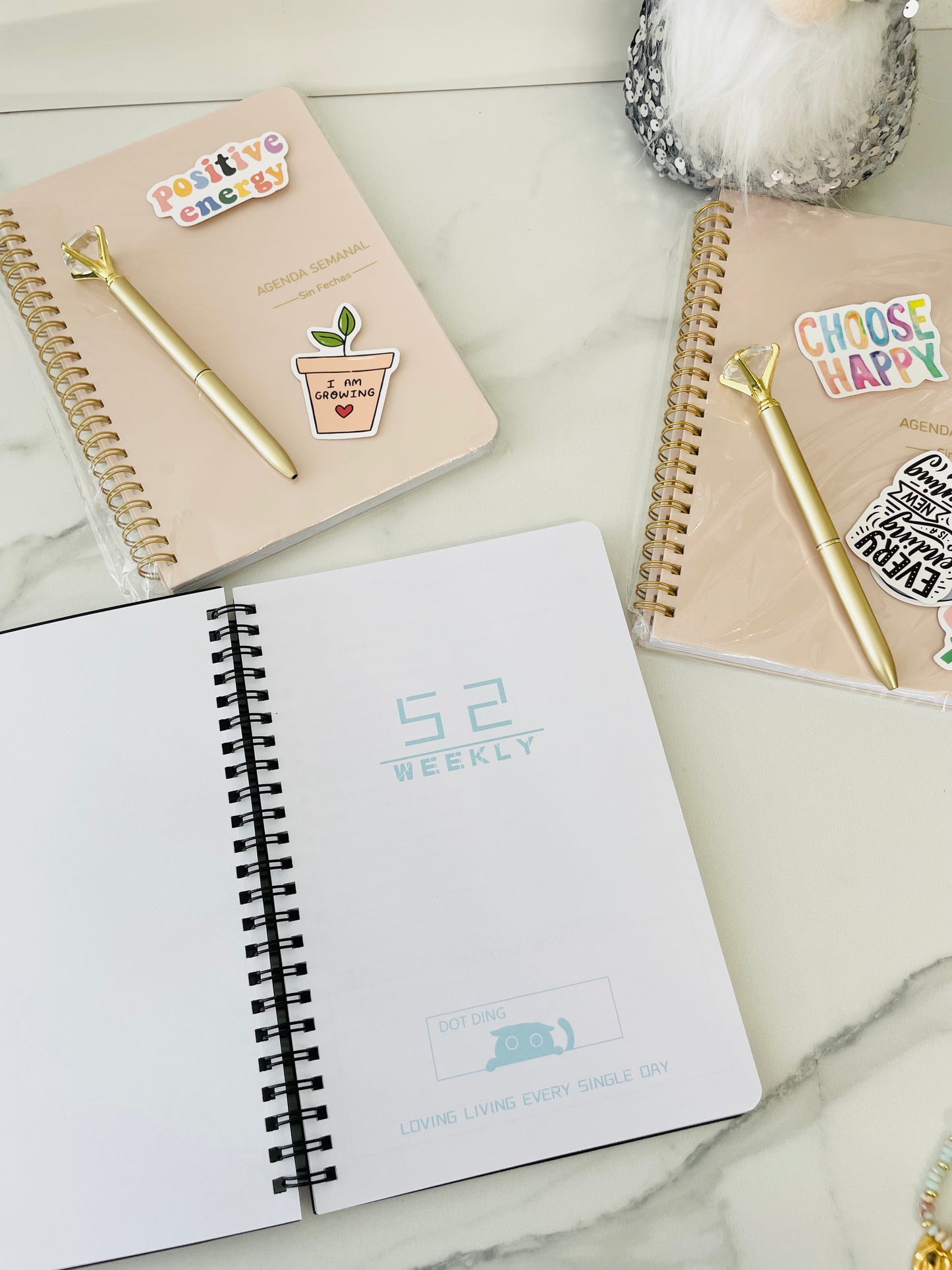 Kit Agenda de 52 Semanas - Vanytel