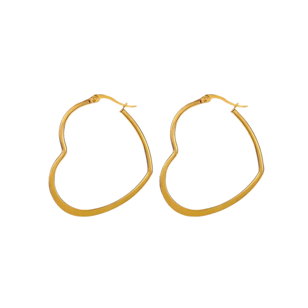 Variedad de Hoops en Acero Inoxidable, Trendy, Women - Vanytel