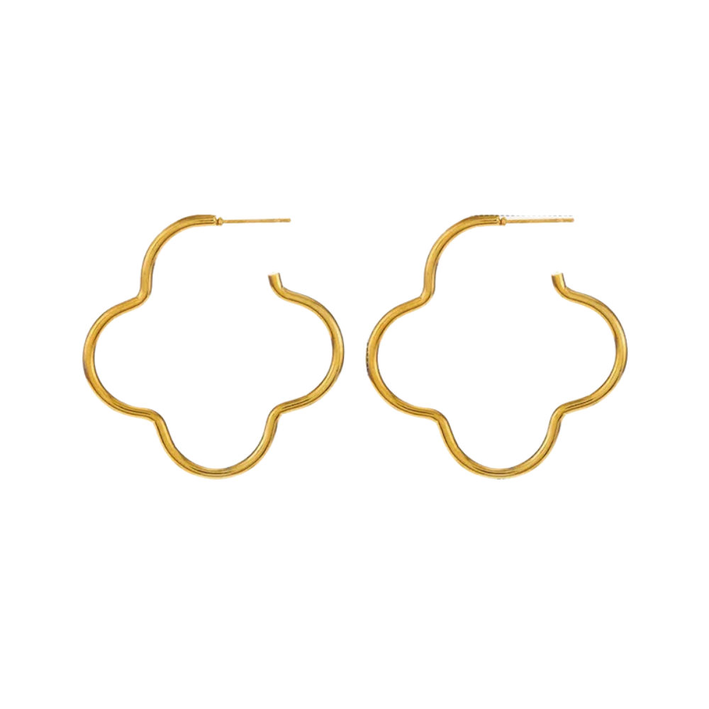 Variedad de Hoops en Acero Inoxidable, Trendy, Women - Vanytel