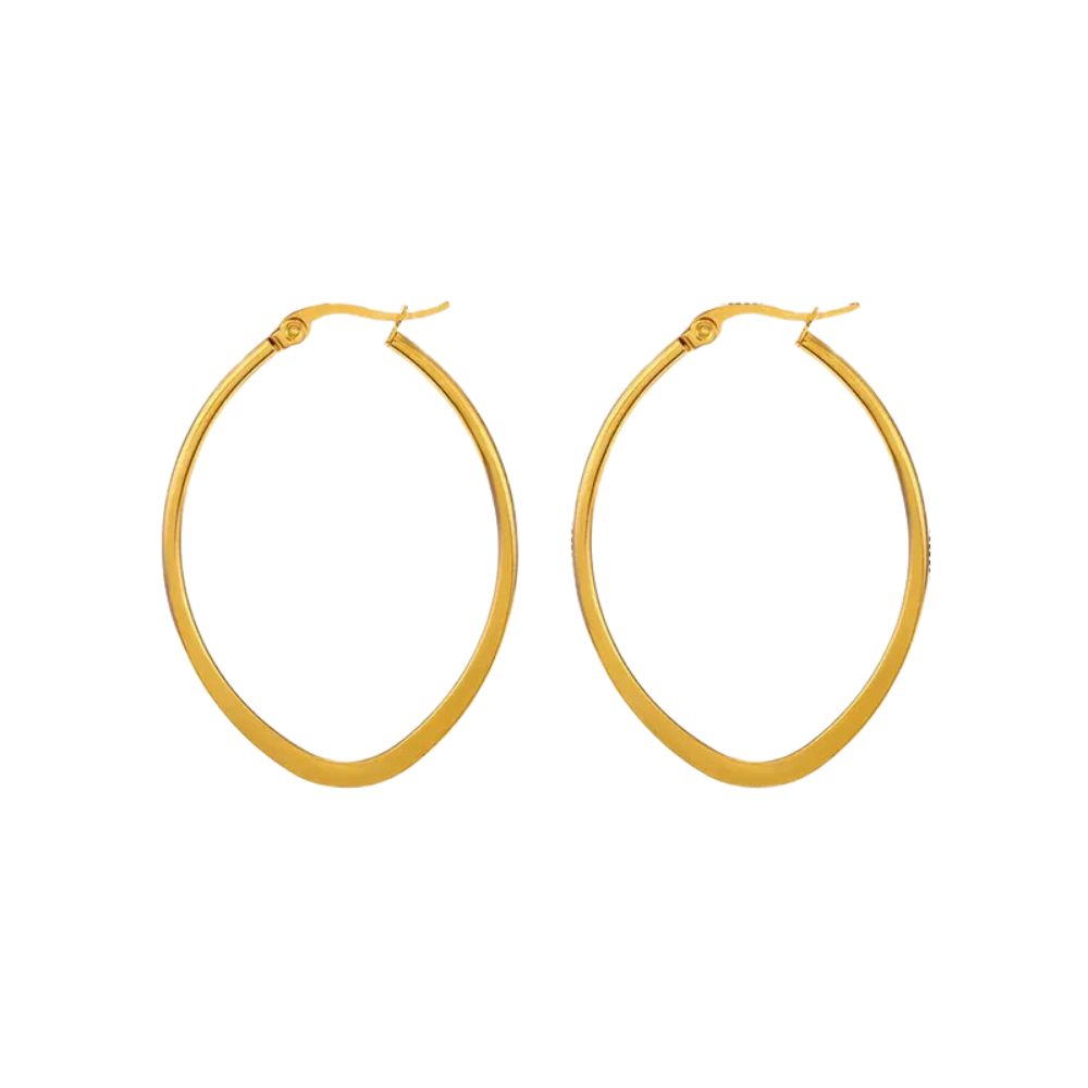 Variedad de Hoops en Acero Inoxidable, Trendy, Women - Vanytel