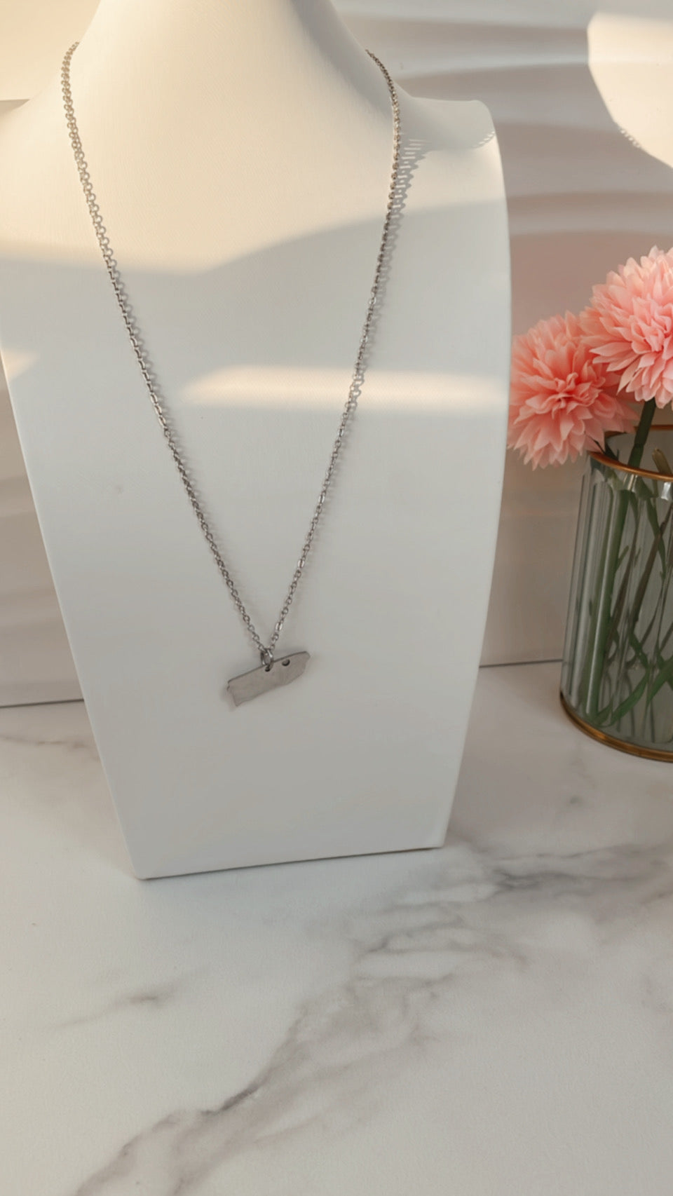 Cadena PR, Plata en Acero Inoxidable, Unisex - Vanytel