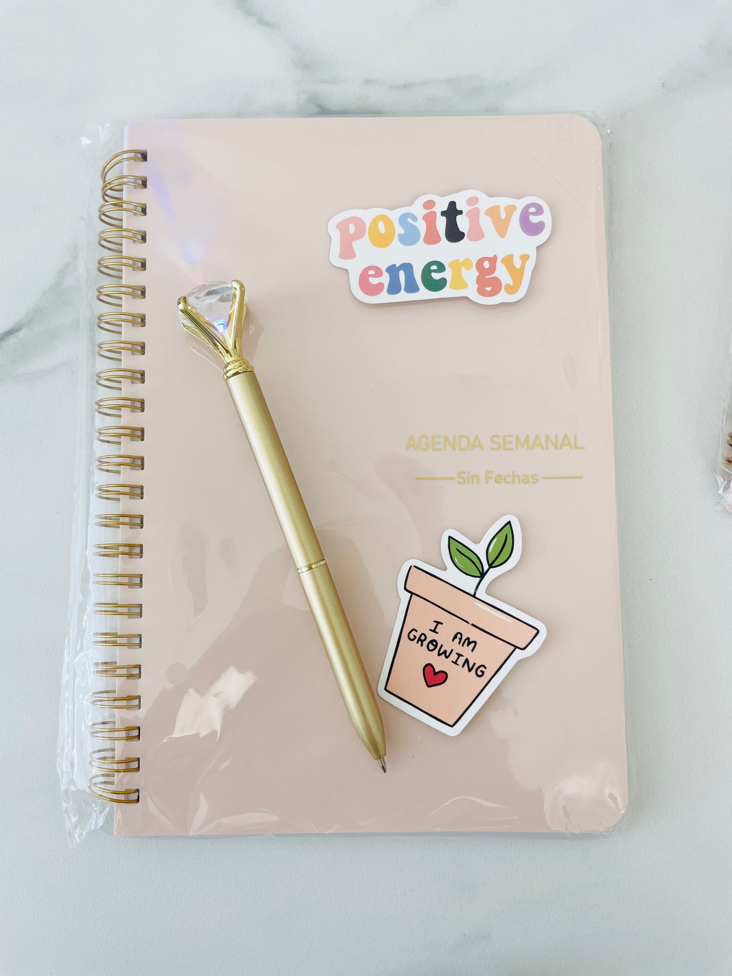 Kit Agenda de 52 Semanas - Vanytel