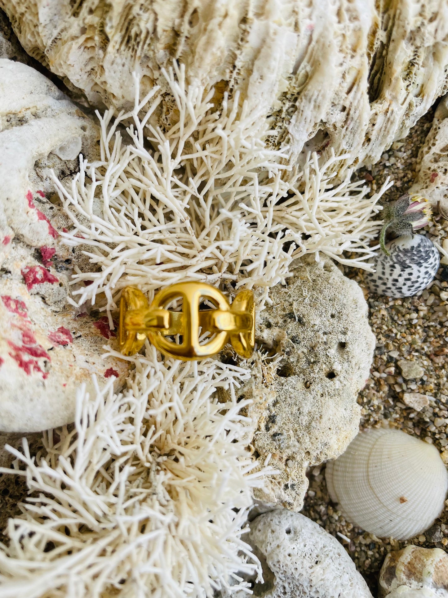Gigi Ring - Vanytel