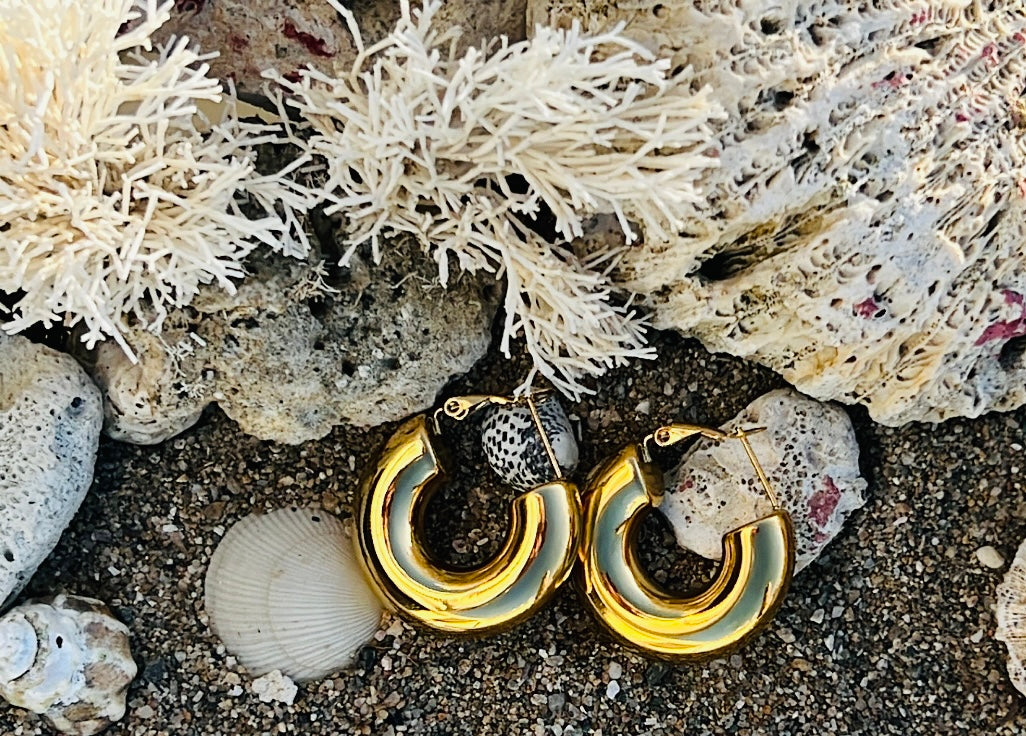Charlotte Hoops Earrings - Vanytel
