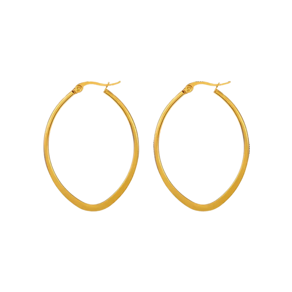 Variedad de Hoops en Acero Inoxidable, Trendy, Women - Vanytel 