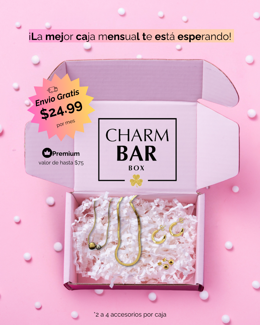 Charm Bar Box "PREMIUM" (Monthly Jewelry Subscription)